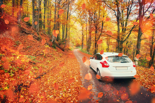 Your Ultimate Checklist for Fall Car Care Month (October)!
